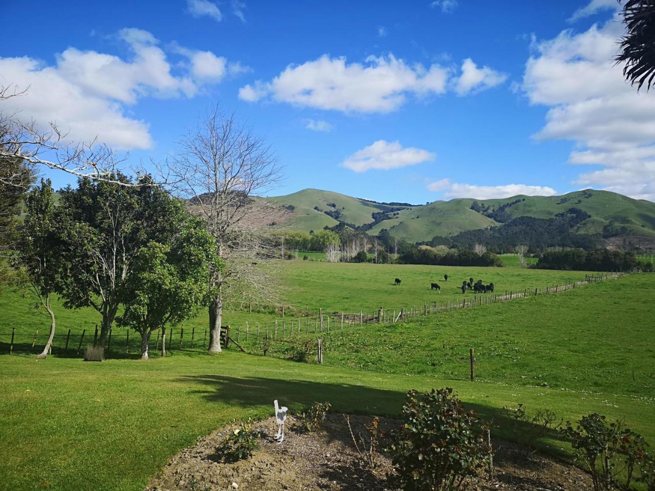 Paeroa Pukeko Lodge 외부 사진